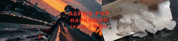 ГАЛЛЮЦИНОГЕННЫЕ ГРИБЫ Балабаново