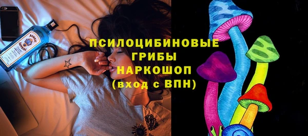 ГАЛЛЮЦИНОГЕННЫЕ ГРИБЫ Балабаново