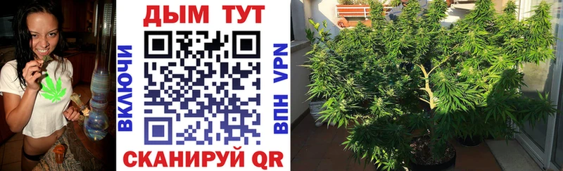 Бошки Шишки OG Kush  Беломорск 